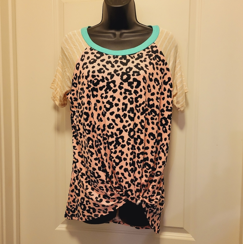 Pink-Black Aqua-Cream-White Cheetah & Striped Boutique Blouse
